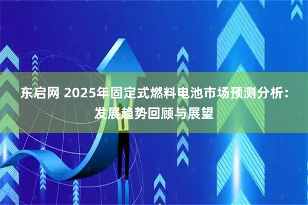 东启网 2025年固定式燃料电池市场预测分析：发展趋势回顾与展望