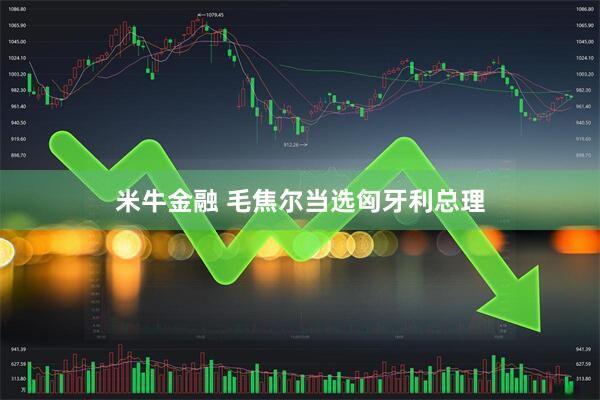 米牛金融 毛焦尔当选匈牙利总理