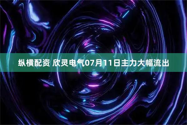 纵横配资 欣灵电气07月11日主力大幅流出