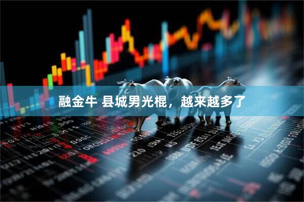 融金牛 县城男光棍,越来越多了