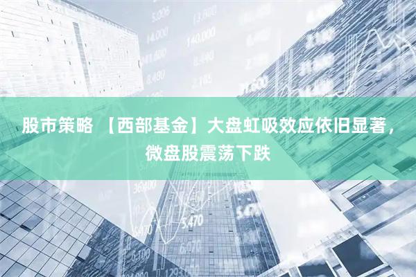 股市策略 【西部基金】大盘虹吸效应依旧显著,微盘股震荡下跌